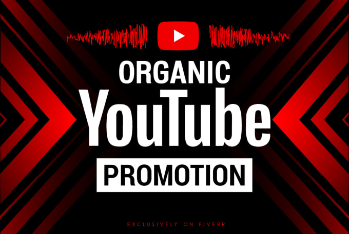 Gig Preview - Do organic youtube video promotion