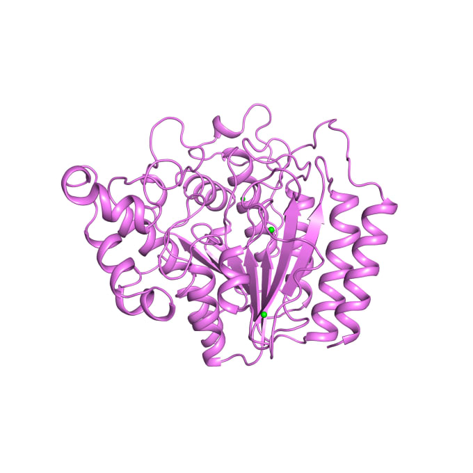 Gig Preview - Assists you in protein structure prediction analysis