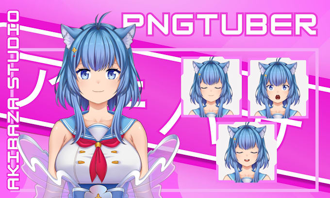 Gig Preview - Draw pngtuber simplified vtuber model for stream avatar