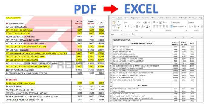 Gig Preview - Convert PDF to excel , word or PPT