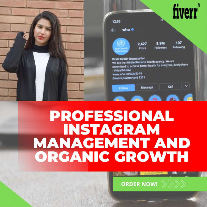 Gig Preview - Professionally manage and promote your instagram page