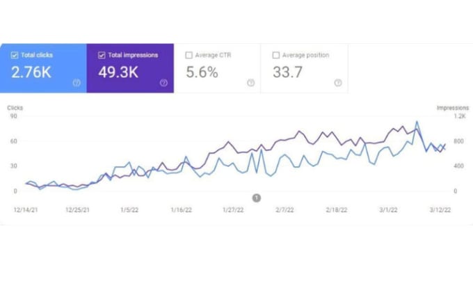 Gig Preview - Do facebook marketing and google campaign services