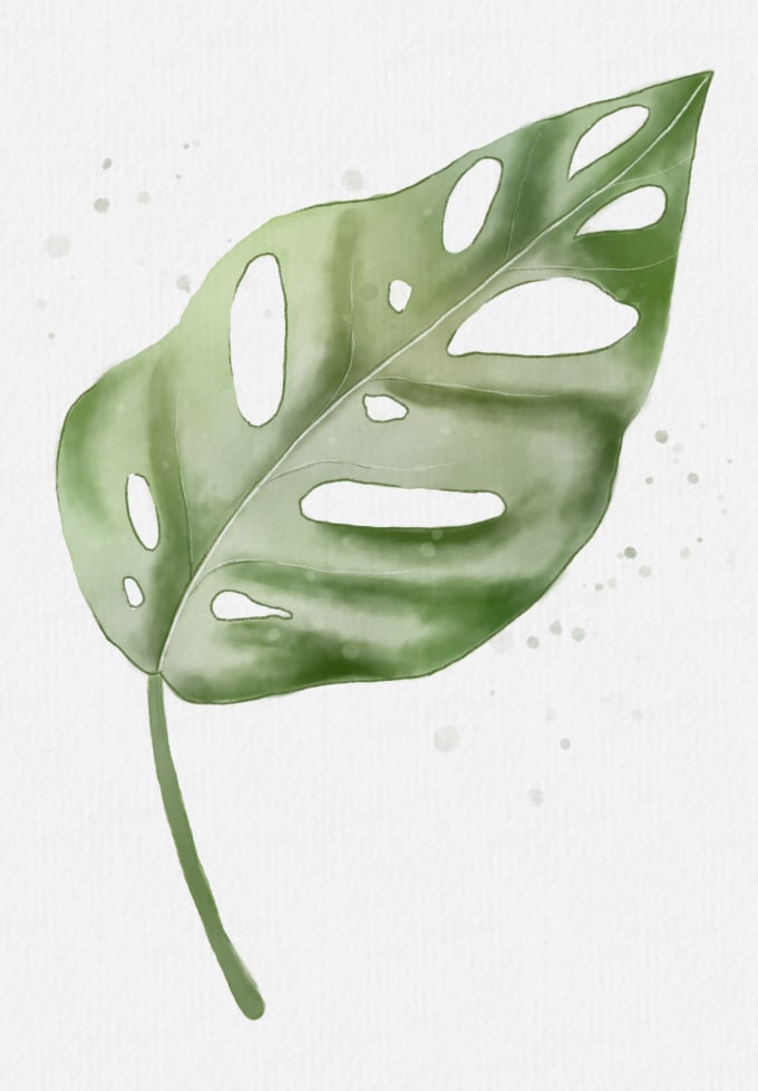 Gig Preview - Draw a digital botanical illustrations for your project