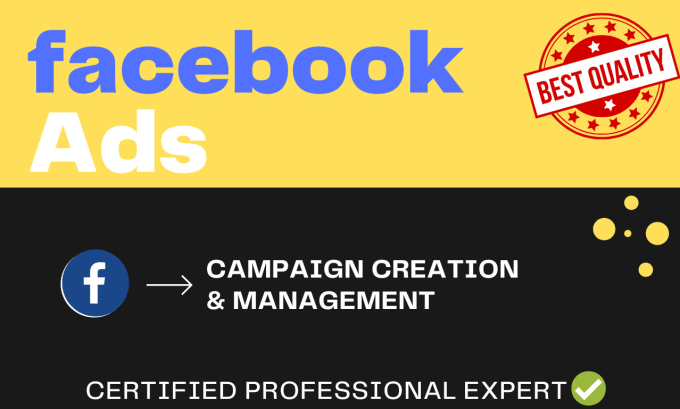 Gig Preview - Make top notch facebook ads campaign fb ads advertising and promotion