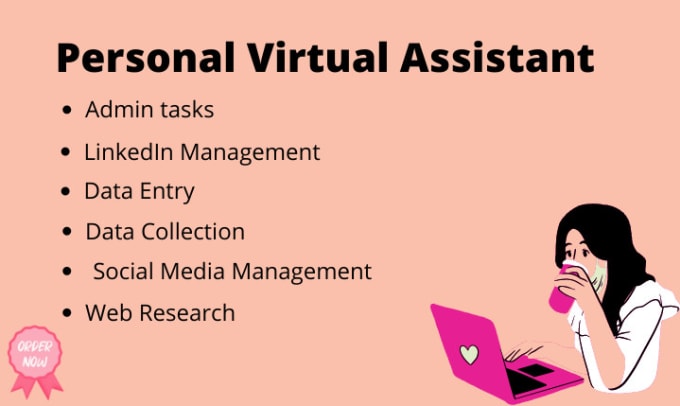 Gig Preview - Be your be virtual assistant for data entry, web research