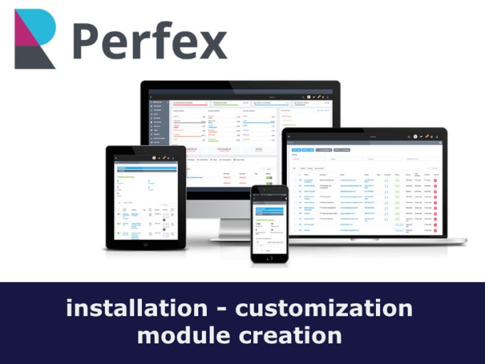 Gig Preview - Install perfex CRM or create modules or customizations