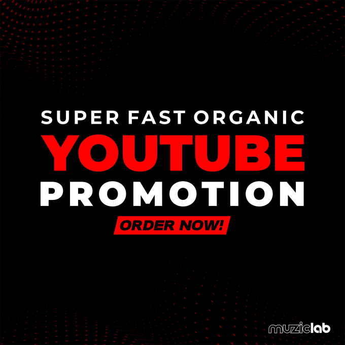 Gig Preview - Do super fast organic youtube video promotion