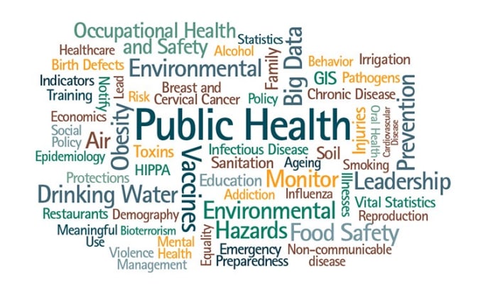 Gig Preview - Write quality papers in epidemiology and public health