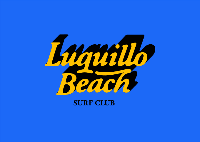 Gig Preview - Design a unique logo for surf business