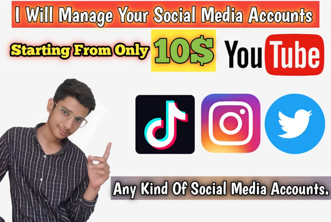 Gig Preview - Manage your social media accounts twitter tiktok  instagram youtube manager