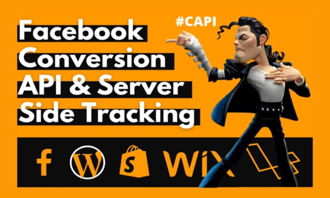 Gig Preview - Setup or fix facebook pixel conversion api, ecommerce tracking