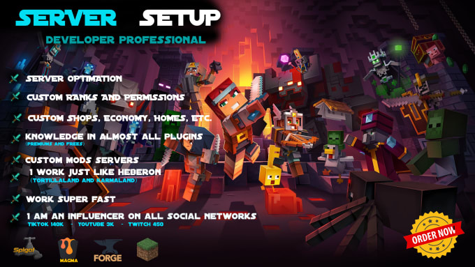 Gig Preview - Create a minecraft server of excellent, fast and whatever