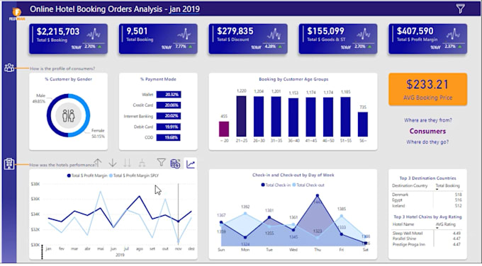 Gig Preview - Create professional power bi dashboards and reports