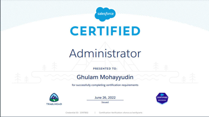 Gig Preview - Do salesforce data migration and customization