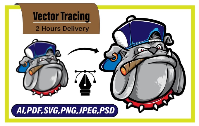 Gig Preview - Bring your designs to life expert vector tracing services