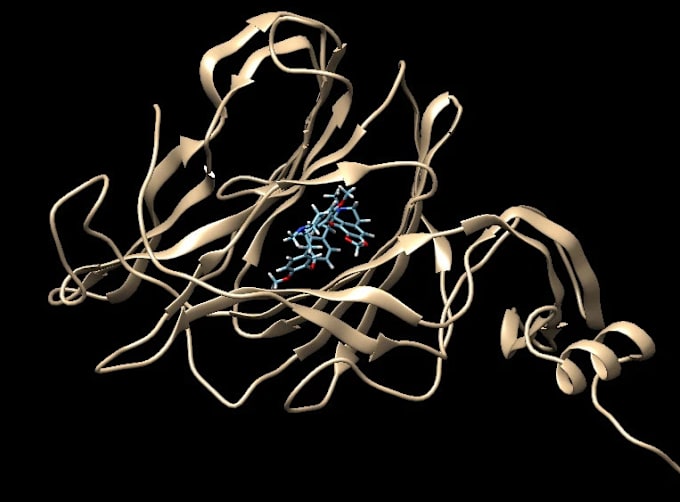 Gig Preview - Do docking, genome wide analysis and write articles related to bioinformatics