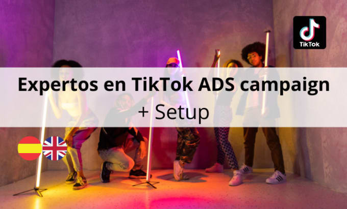 Gig Preview - Setup and manage tiktok ads campaign, tiktok ads