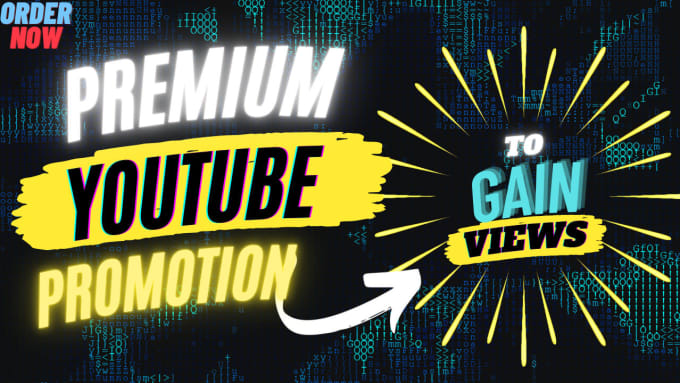 Gig Preview - Do premium youtube video promotion to boost views