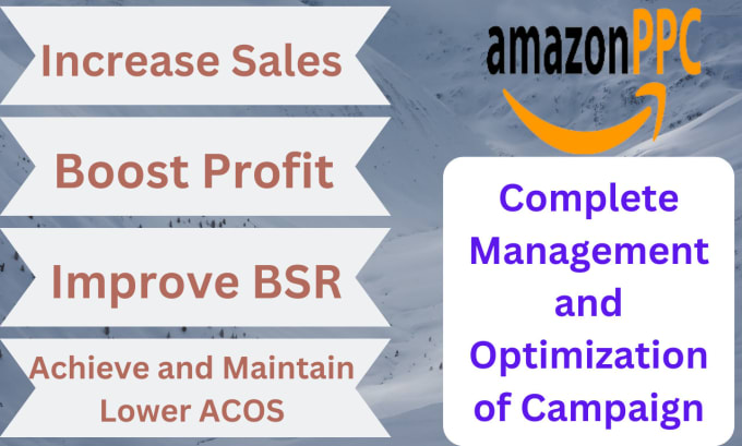 Gig Preview - Setup your amazon ppc campaign, amazon ppc managment, amazon ppc optimization