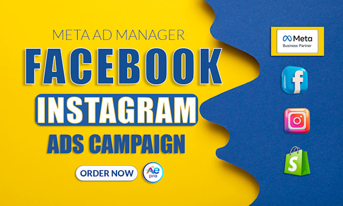 Gig Preview - Be your facebook ads campaign manager and setup fb ads campaign