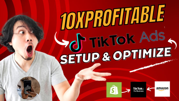 Gig Preview - Set up and optimize tiktok ads campaign that gets results