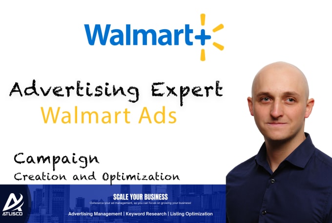 Gig Preview - Create new campaigns and manage your walmart ads