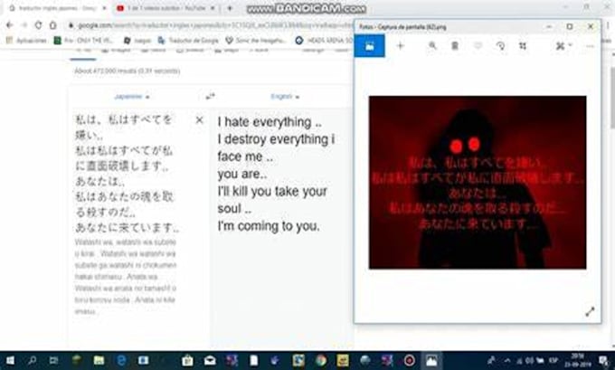 Gig Preview - Translation your text only