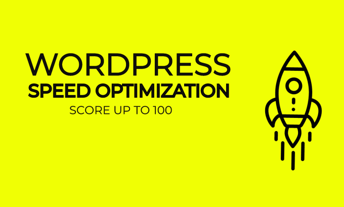 Gig Preview - Do wordpress speed optimization for google pagespeed insights