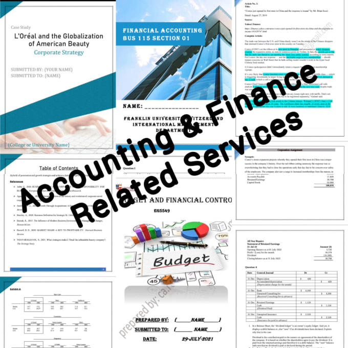 Gig Preview - Do accounting, finance and related services