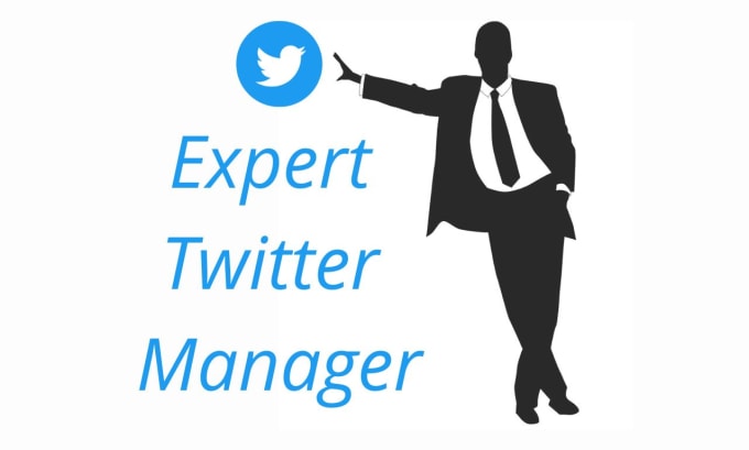 Gig Preview - Provide twitter manager service by organic marketing or write tweets