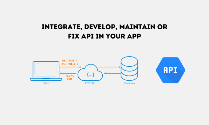 Gig Preview - Integrate, develop, maintain or fix API in your app