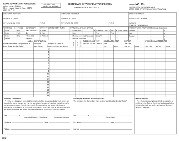 Gig Preview - Recreate large size or multipage forms to be high quality and print ready