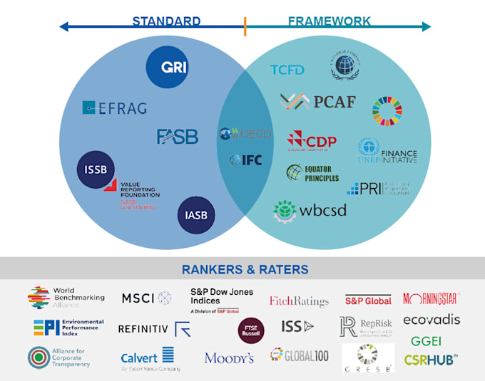 Gig Preview - Help you develop a compliant esg report