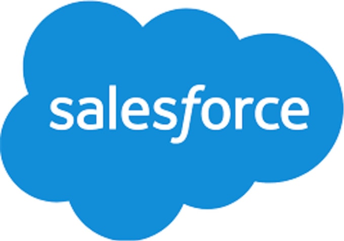 Gig Preview - Be your salesforce administrator and developer