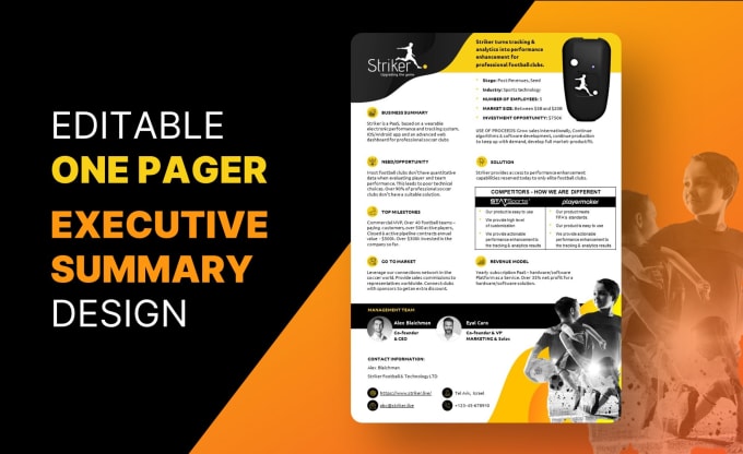 Gig Preview - Design one pager, executive summary, or investment teaser