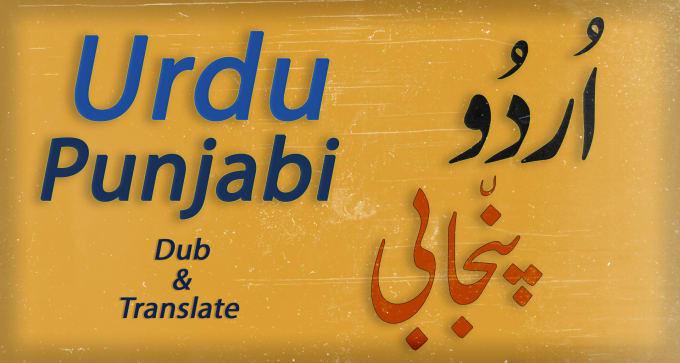 Gig Preview - Do outstandingly translate and dubbed english to urdu and punjabi language