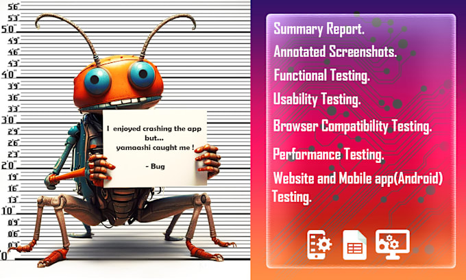 Bestseller - do manual testing of your software, website and application