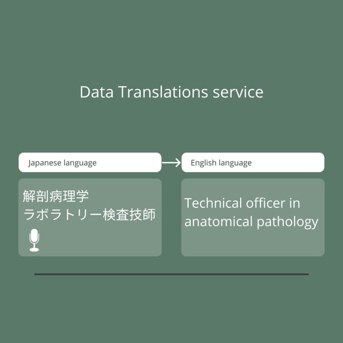 Bestseller - do data translations between japanese to english