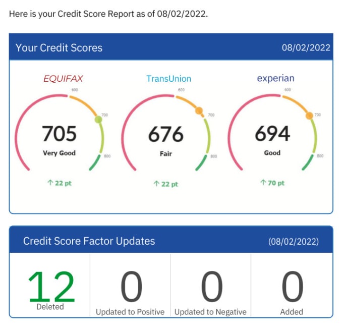 Gig Preview - Experian inquiry removal within 24 hours