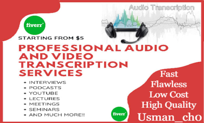 Gig Preview - Provide audio transcription and transcribe video