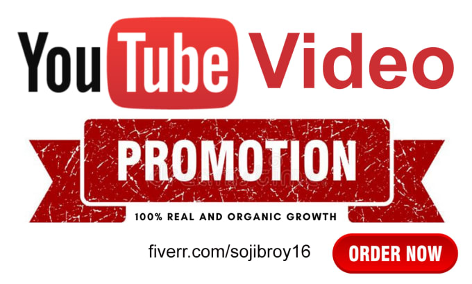 Gig Preview - Do organic youtube promotion of your video