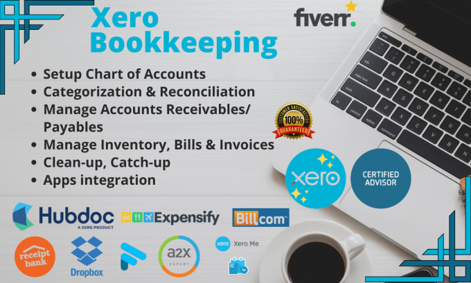 Gig Preview - Do bookkeeping and cleanup in xero