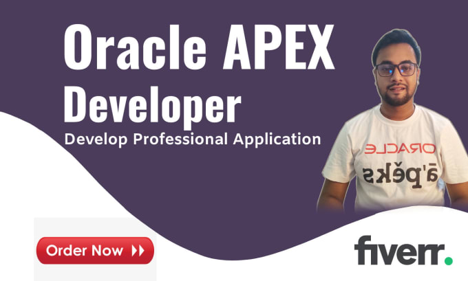 Gig Preview - Develop custom web application using oracle apex