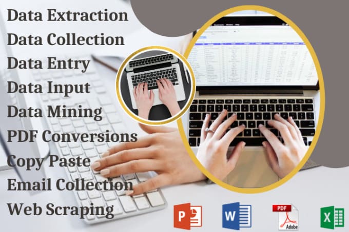 Gig Preview - Do data entry, data extraction, collection and input data in excel