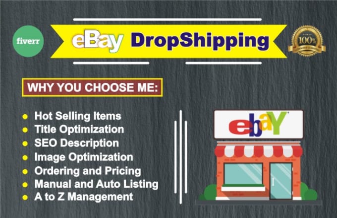 Gig Preview - Manage and control of your ebay dropshpping store