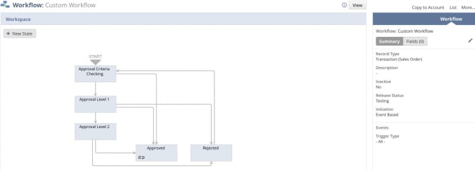 Gig Preview - Create or customize netsuite workflows