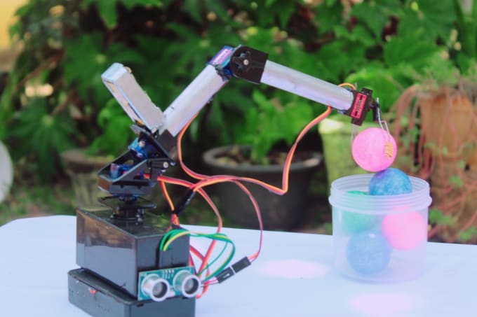 Gig Preview - Help you to create a toy projects like robot arm