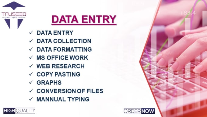 Gig Preview - Do data entry, data mining, web research and any type of ms office work