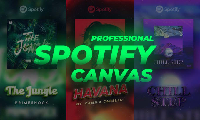 Gig Preview - Create a professional spotify canvas with your artwork