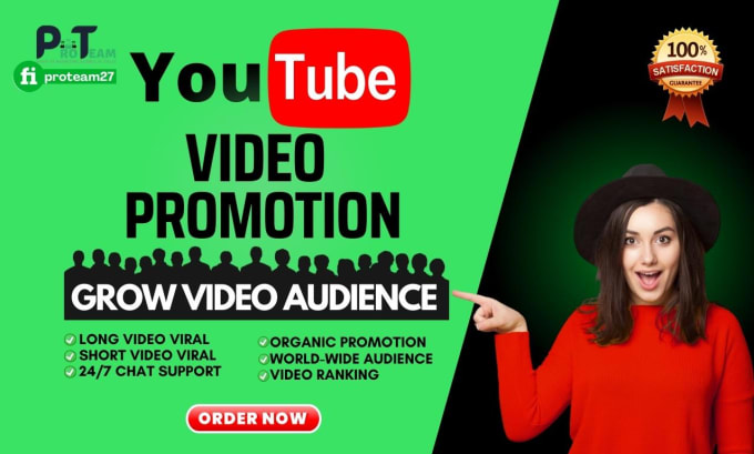 Gig Preview - Do organic youtube video promotion to go viral